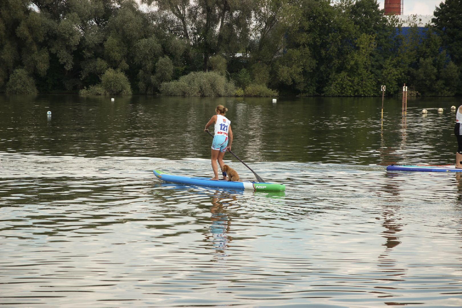 Соревнования, чемпионат, сап-сёрфинг, Старая Купавна, Богородский городской округ