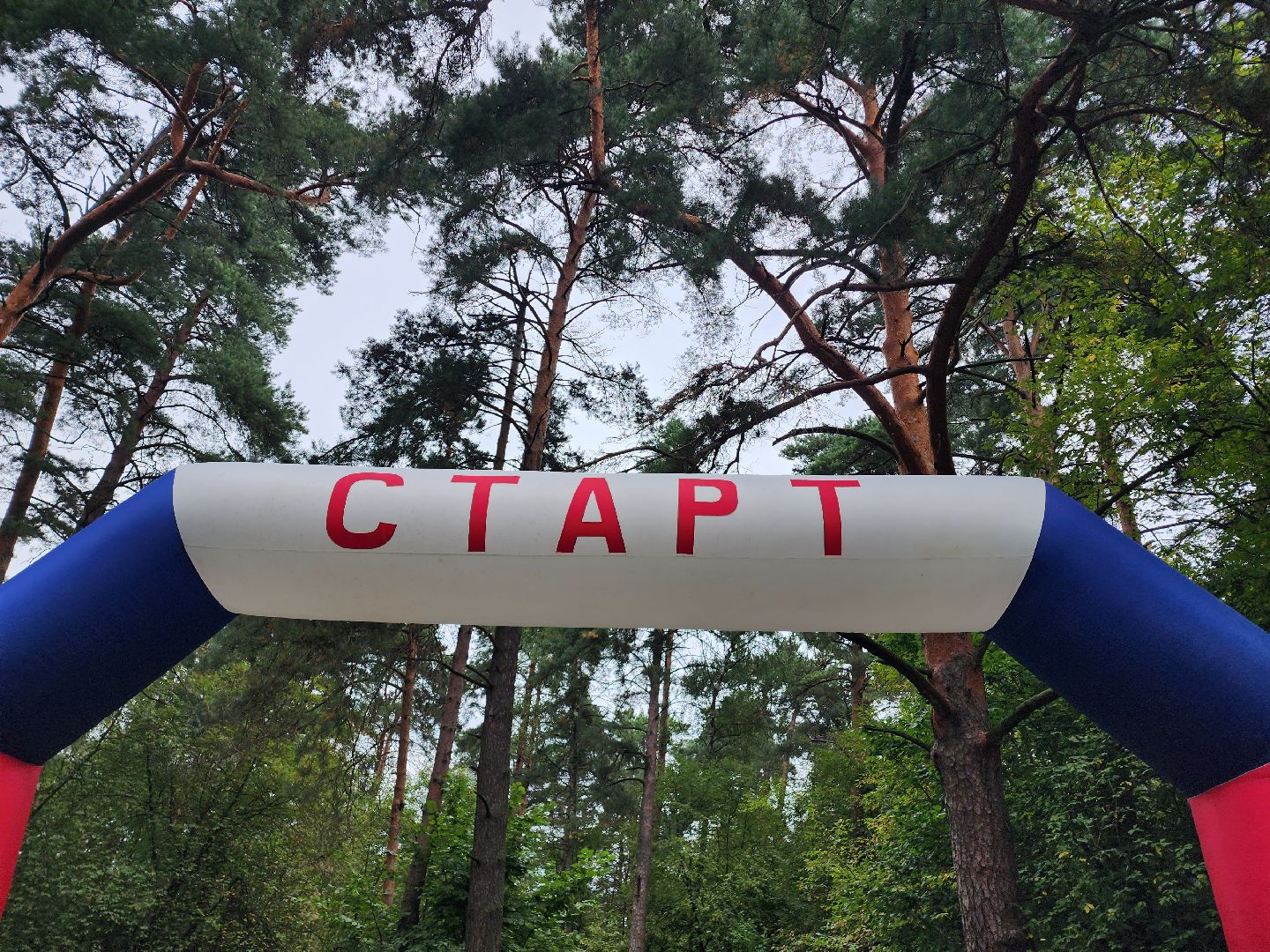 Домодедово, дорога храбрых, экстремальный забег, команда Победы, выносливость, спортсмены, забег