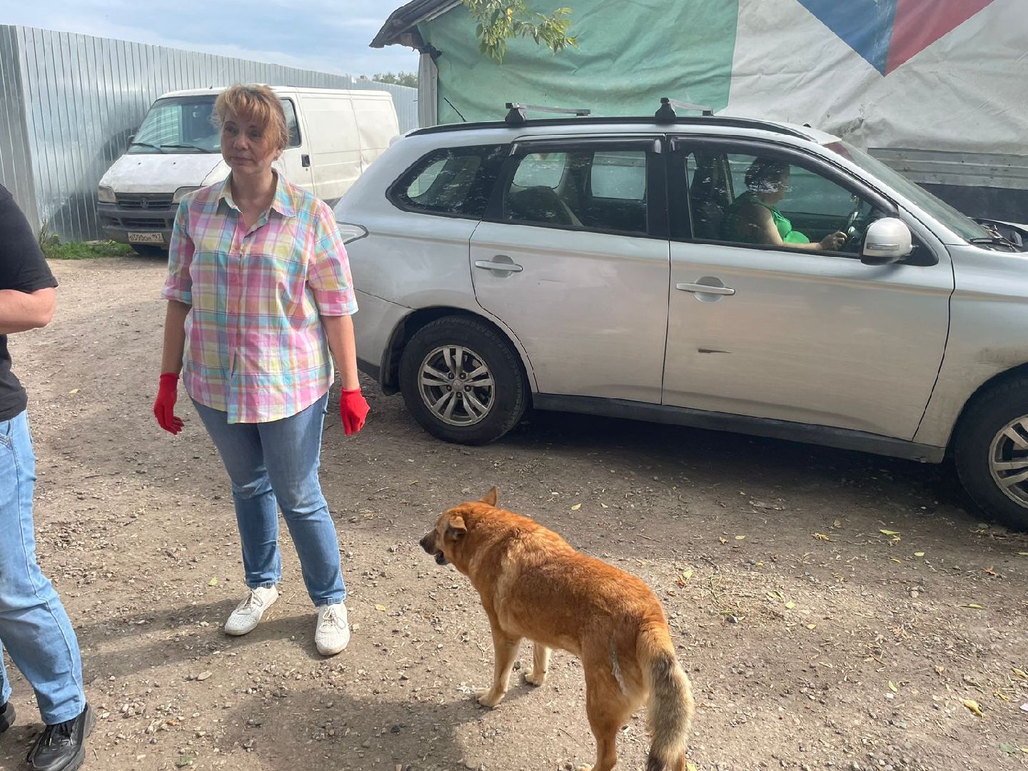 питомник животных, Домодедово