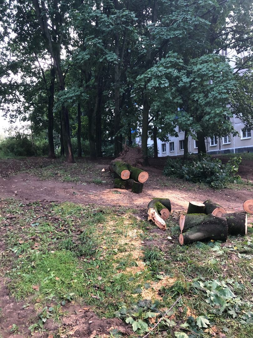 Пущино, благоустройство