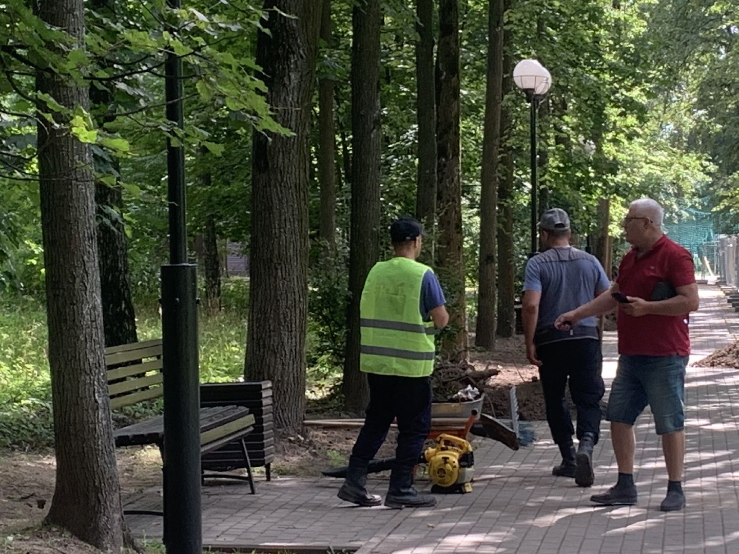 Дети, развитие, лето в подмосковье, благоуйстройство,