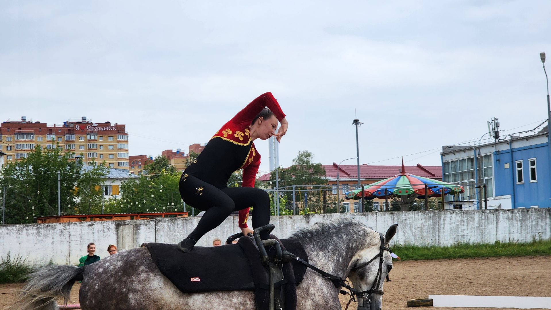 Егорьевск, животные, спорт, подмосковье, соревнования, лошади, конный спорт,