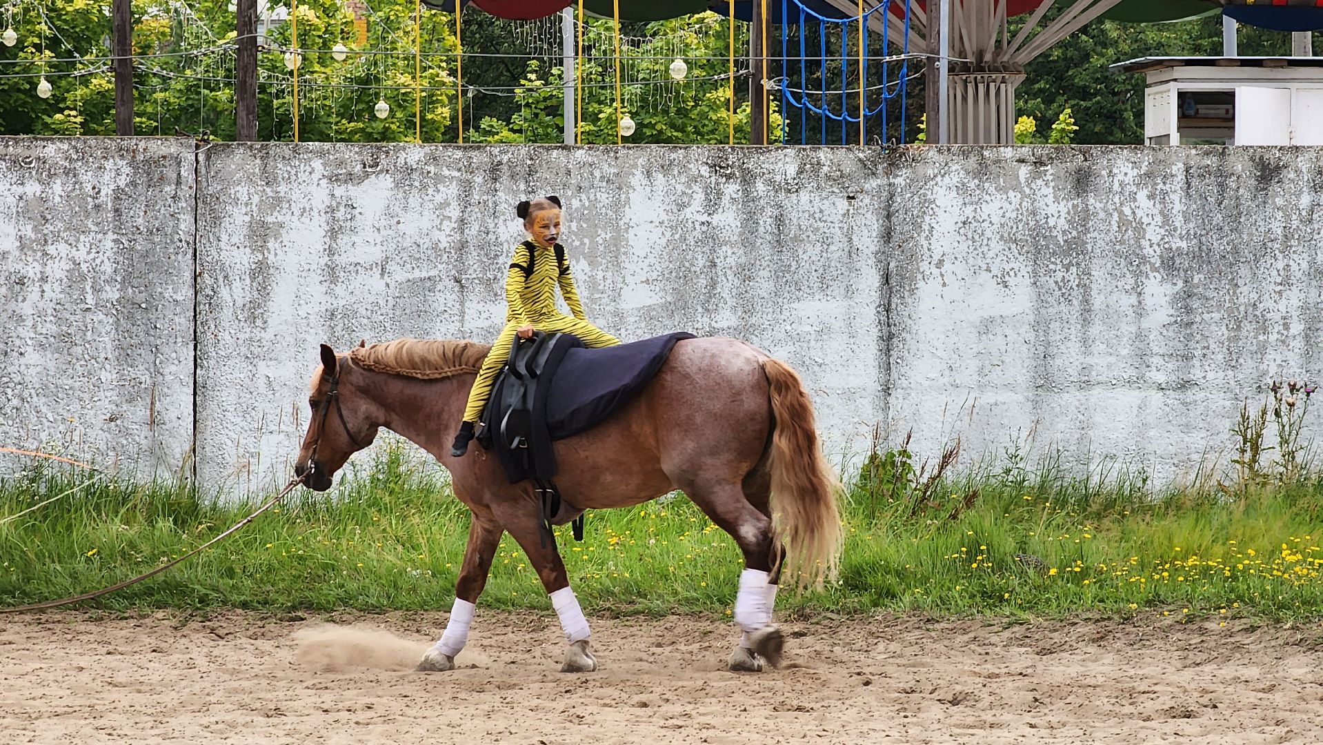 Егорьевск, животные, спорт, подмосковье, соревнования, лошади, конный спорт,