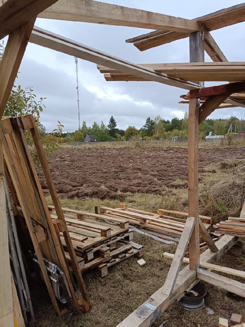 Балашиха, Подмосковье, люди, экономика, самозанятые, медовое производство, пасека