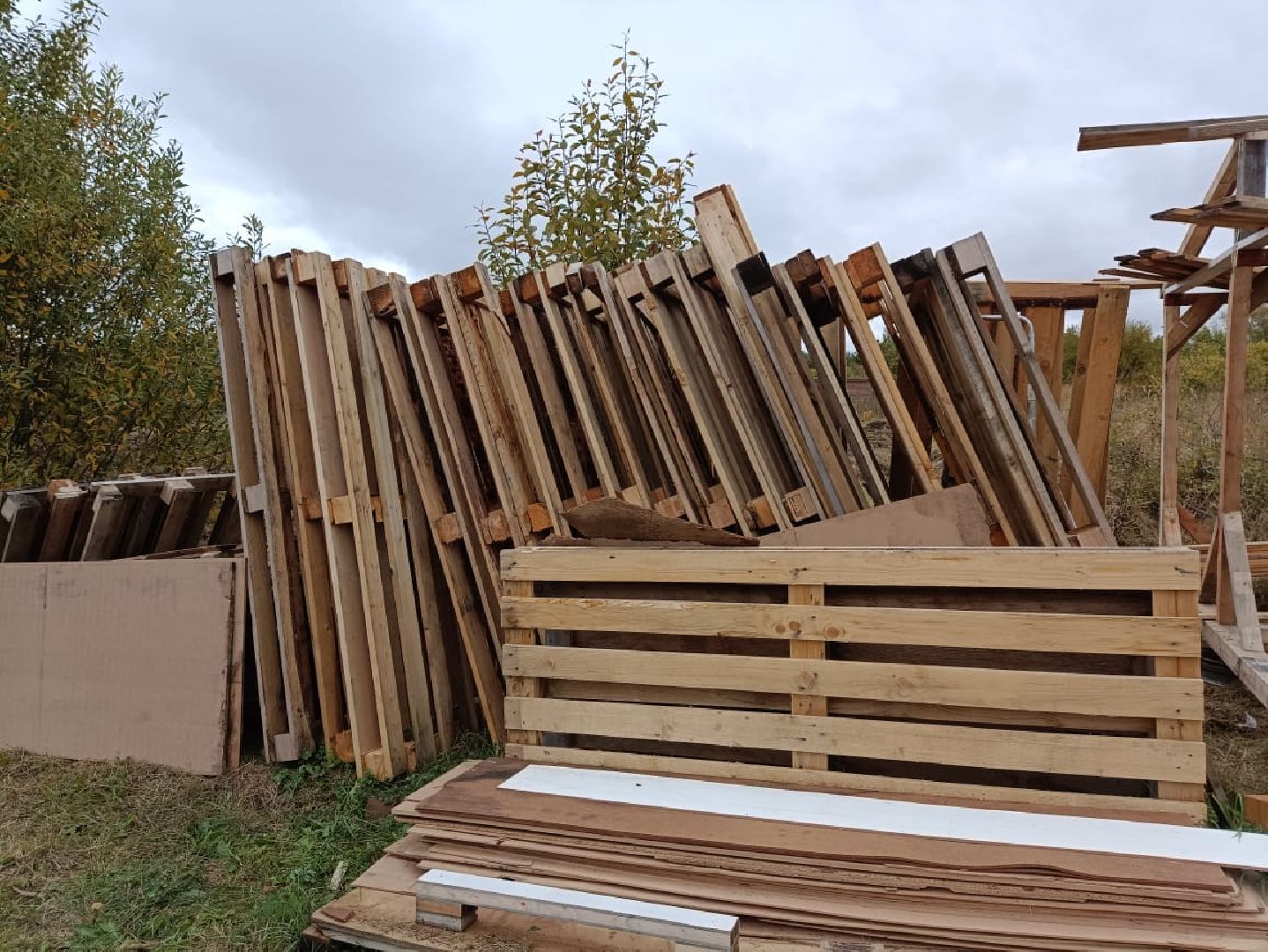 Балашиха, Подмосковье, люди, экономика, самозанятые, медовое производство, пасека