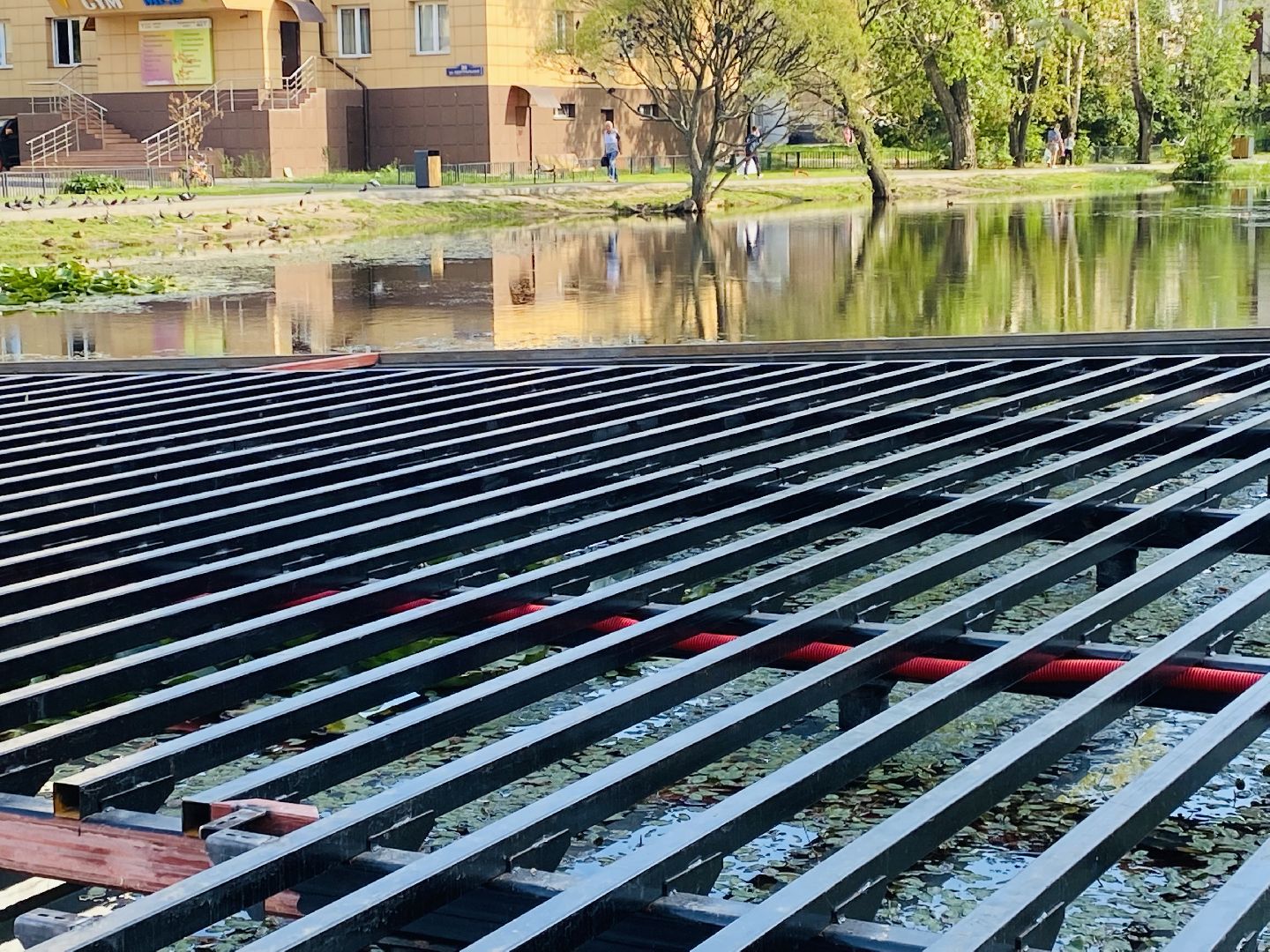 Балашиха, площадка для выгула собак, микрорайон Кучино