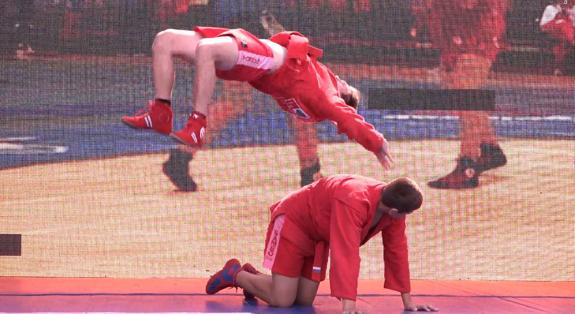 Самбо в парках, Домодедово