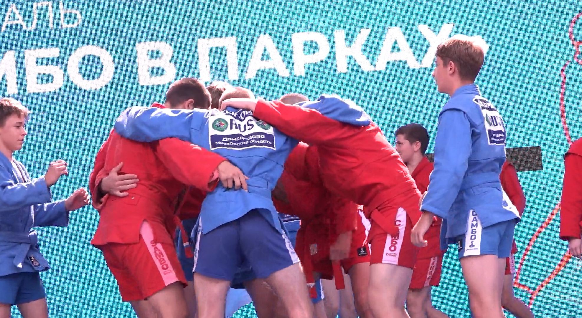 Самбо в парках, Домодедово