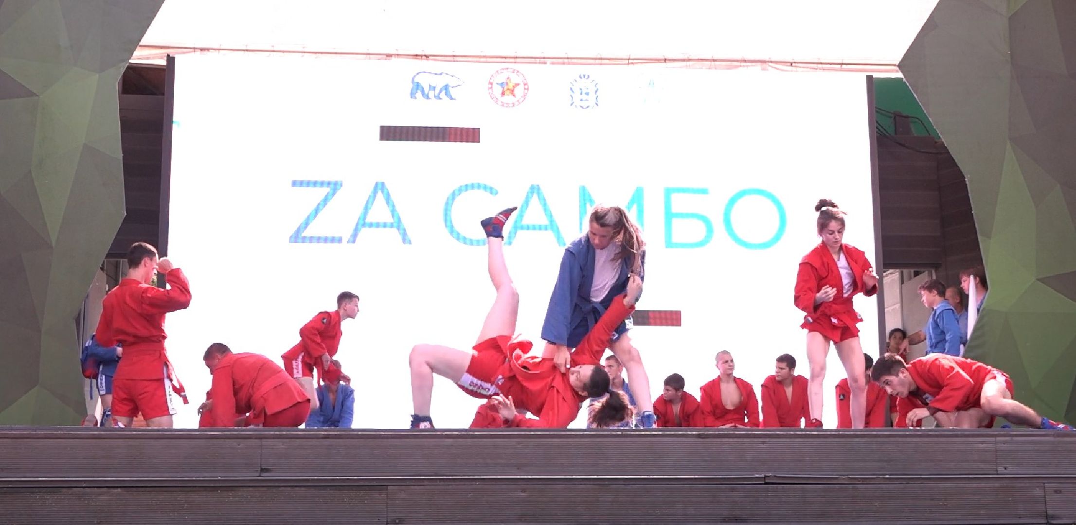 Самбо в парках, Домодедово