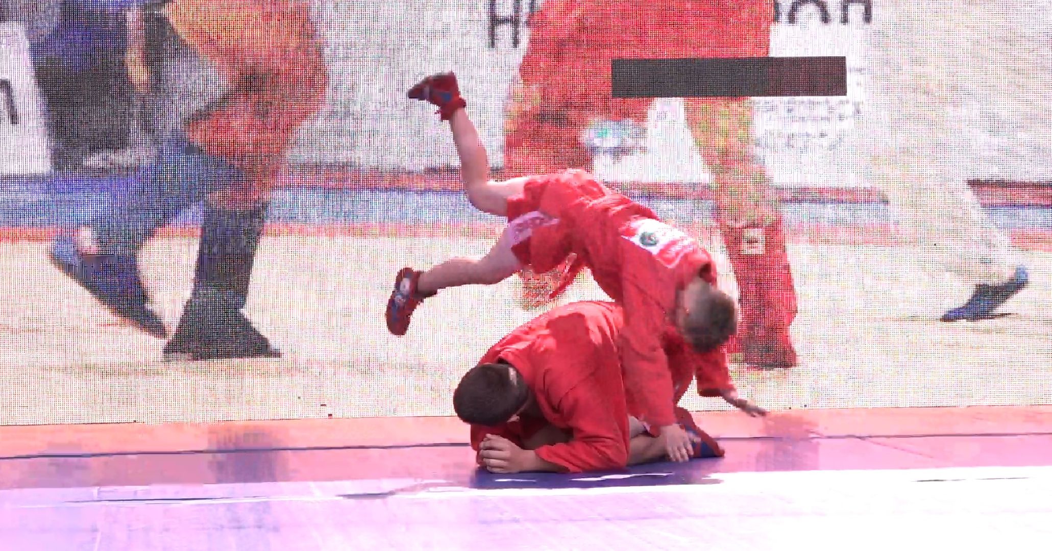 Самбо в парках, Домодедово