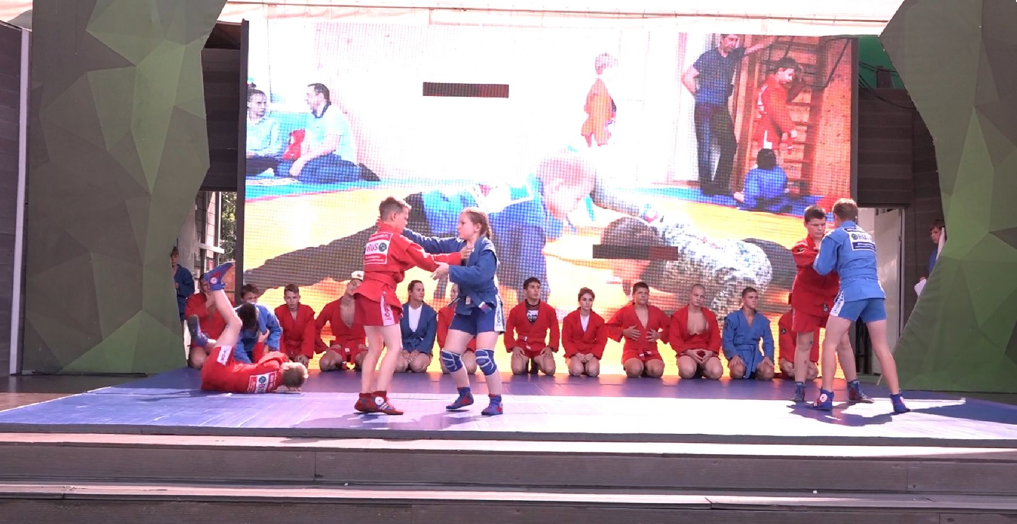 Самбо в парках, Домодедово