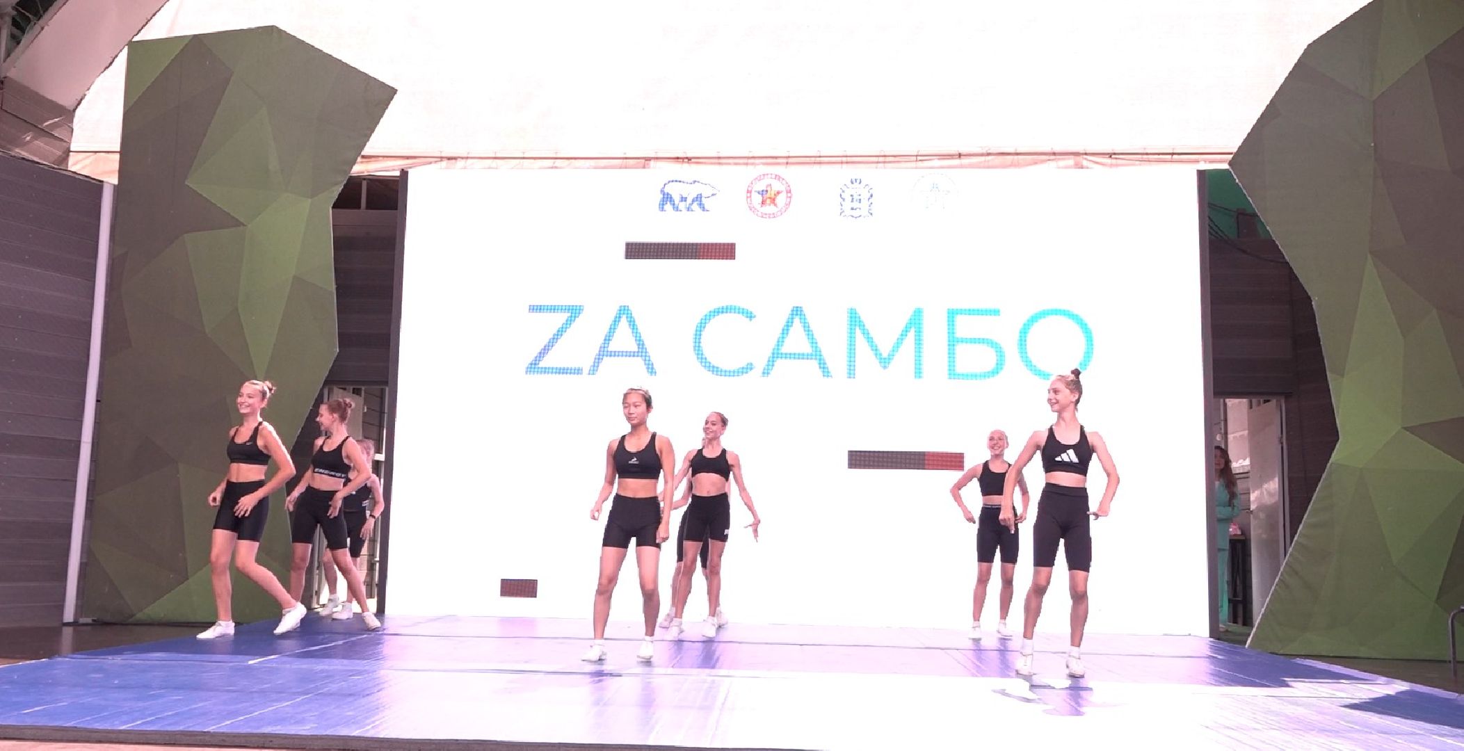 Самбо в парках, Домодедово