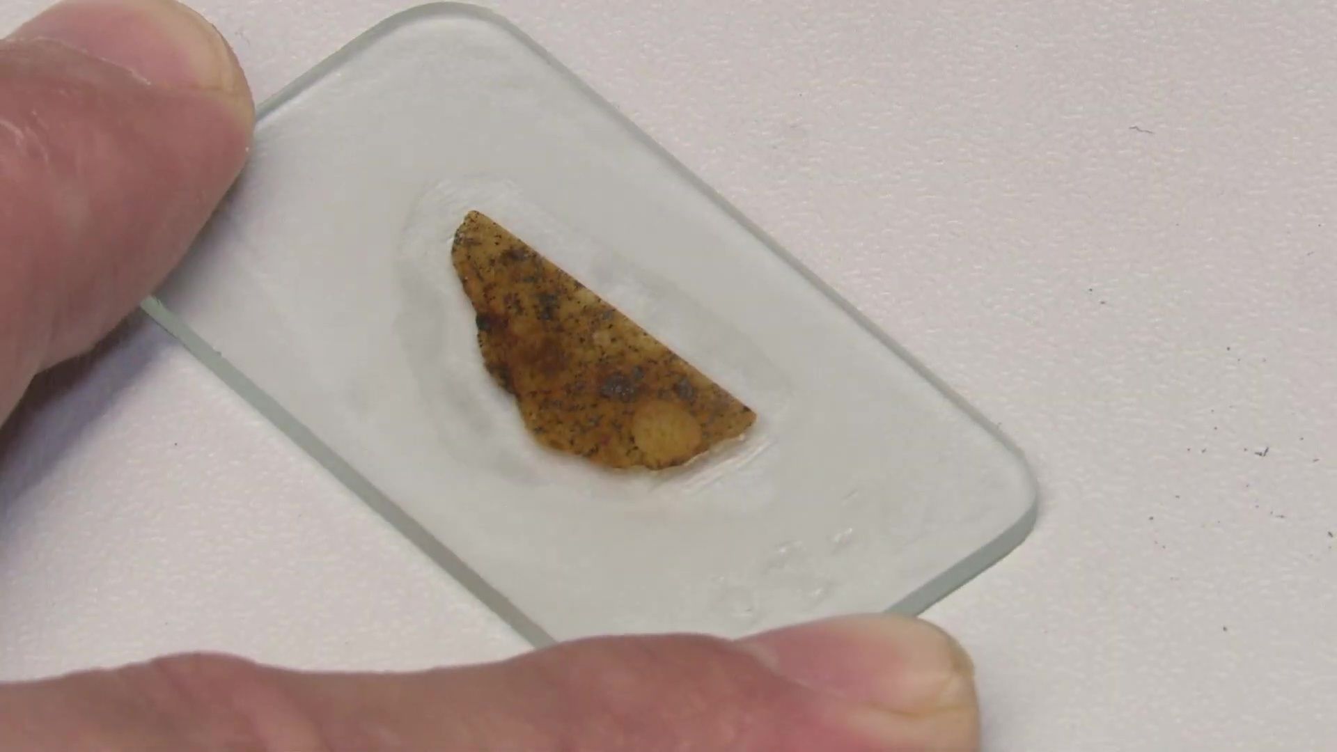 Реутов, поисковая экспедиция, метеориты, Тимур Крячко