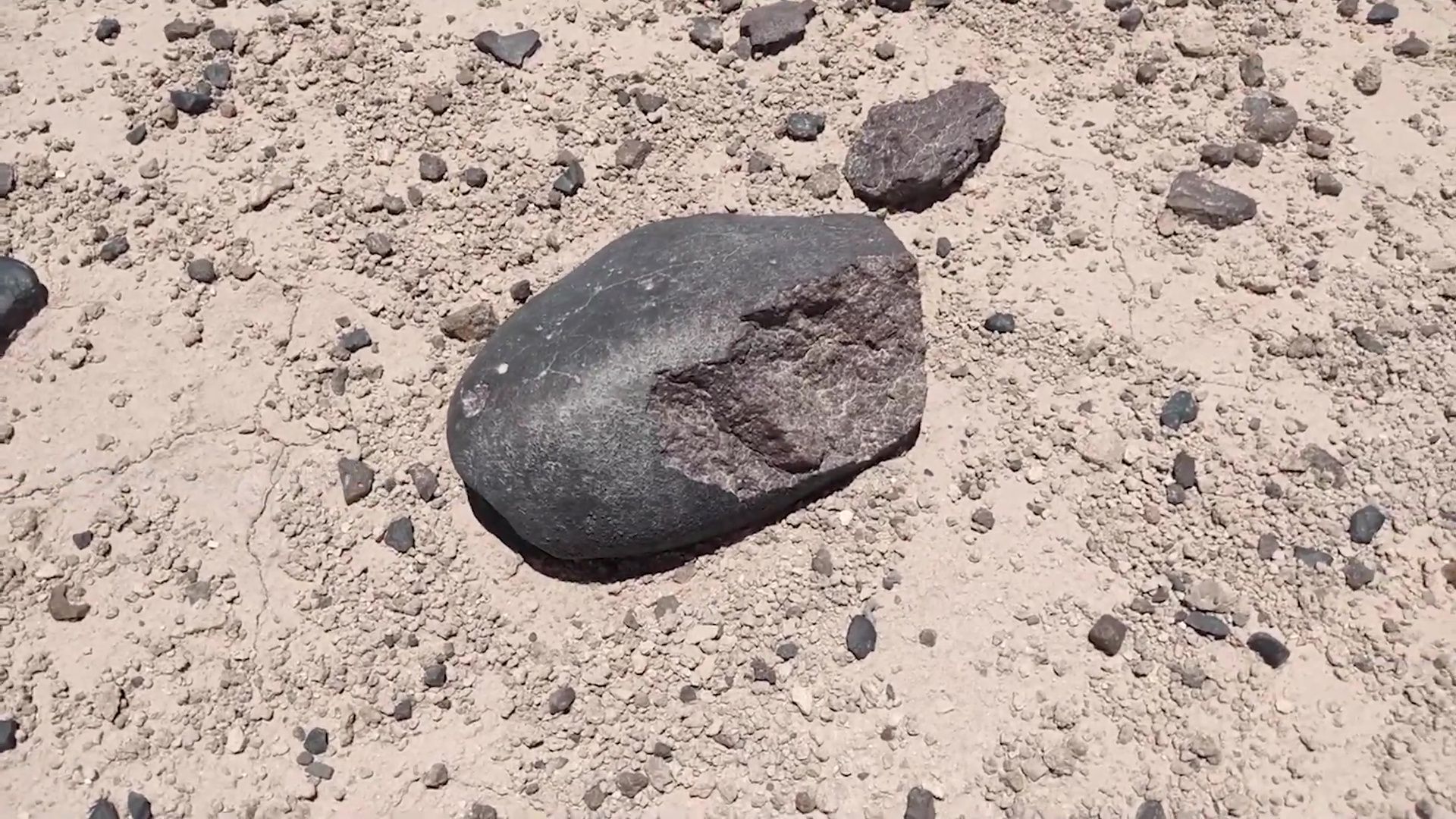 Реутов, поисковая экспедиция, метеориты, Тимур Крячко