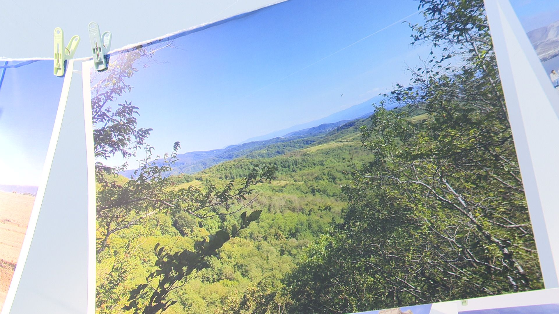 Реутов, выставка, музей, культура, Лапшины, фотокартины