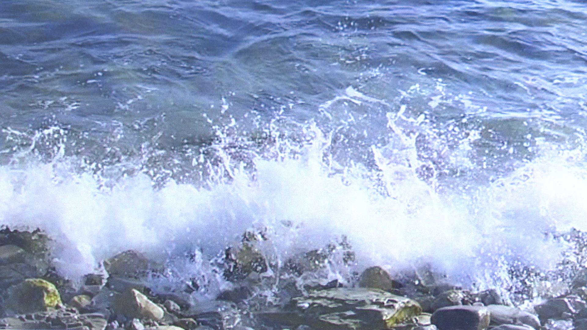 Реутов, выставка, музей, культура, Лапшины, фотокартины