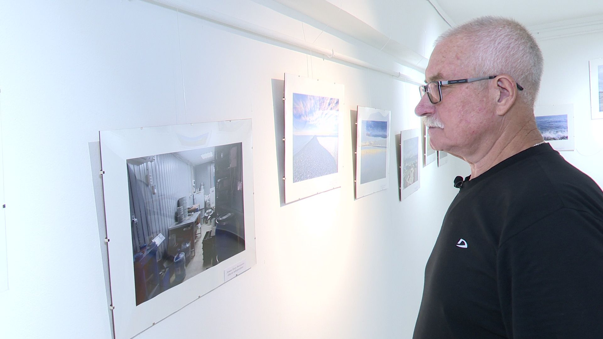 Реутов, выставка, музей, культура, Лапшины, фотокартины