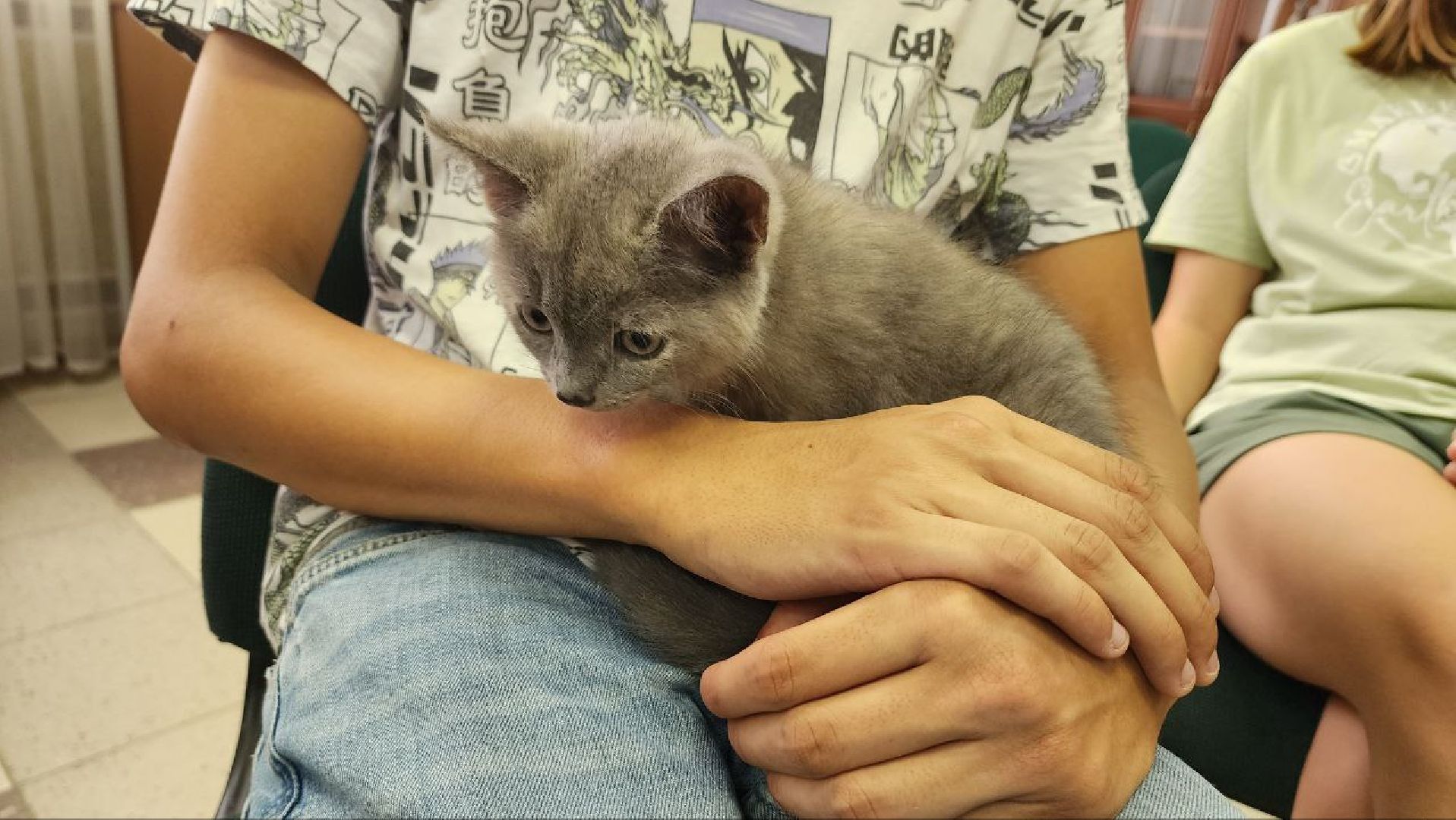 Дмитров, Сфера роста, Бизнес-тренинг