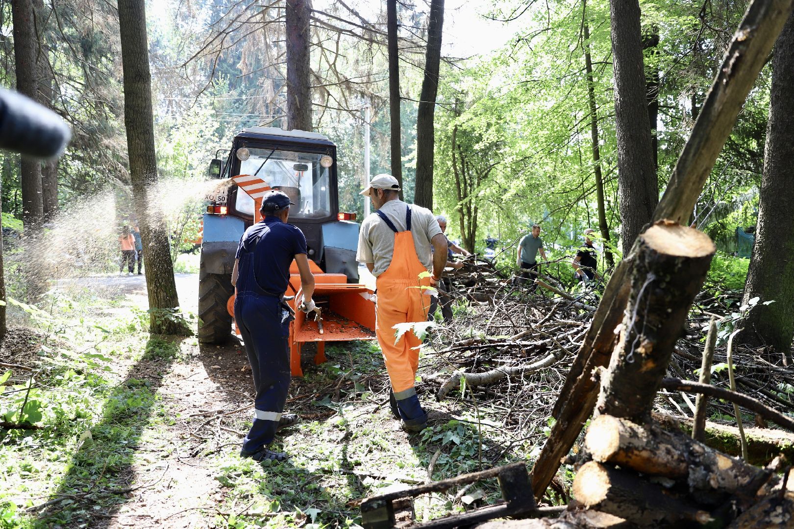 Солнечногорск, субботник, уборка, лес, жители