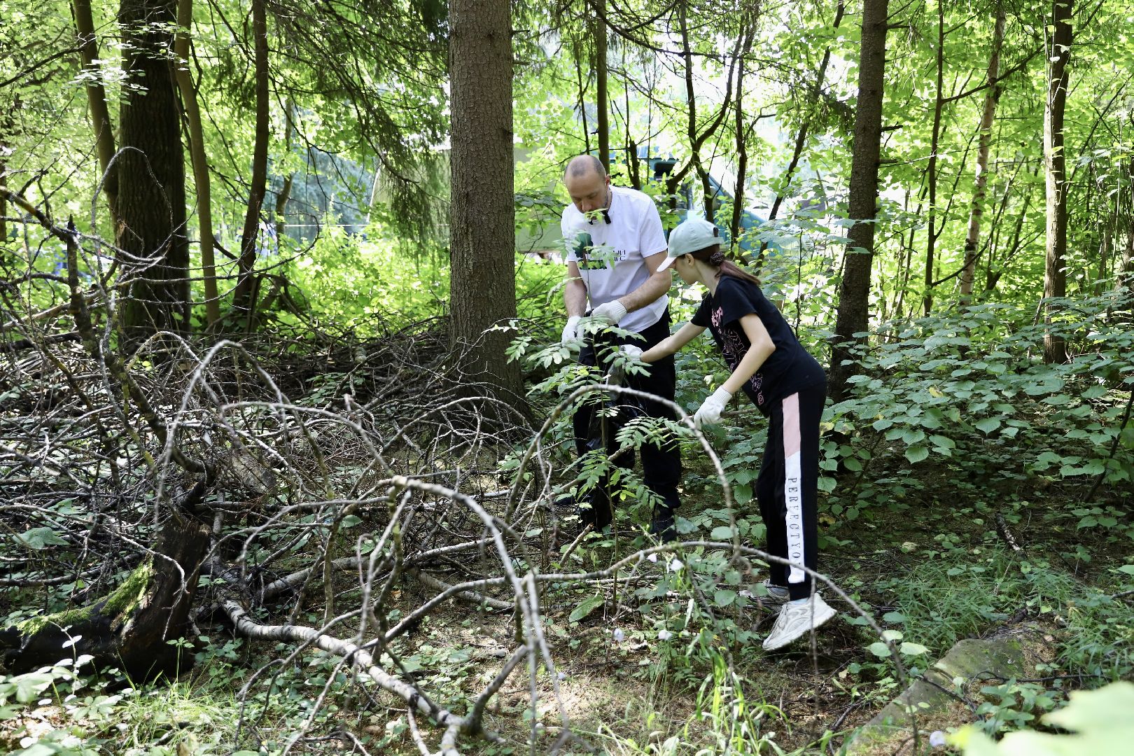 Солнечногорск, субботник, уборка, лес, жители