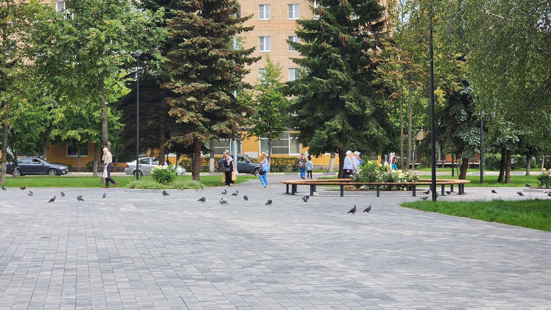 Ступино, день флага россии, молодежь ступино