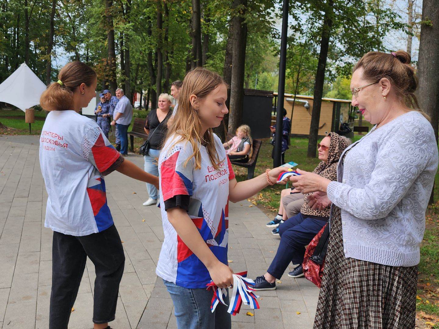 Серпухов, Подмосковье, День флага, парк, МГЕР, волонтеры, концерт