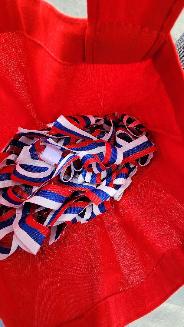 Егорьевск, молодежь, флаг, акция, триколор