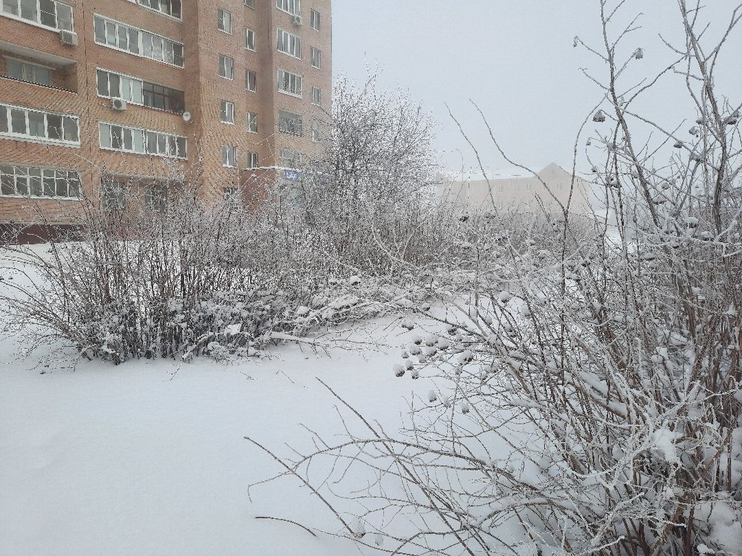 ЖКХ, взвесь, уборка снега, Шатура, форс-мажор