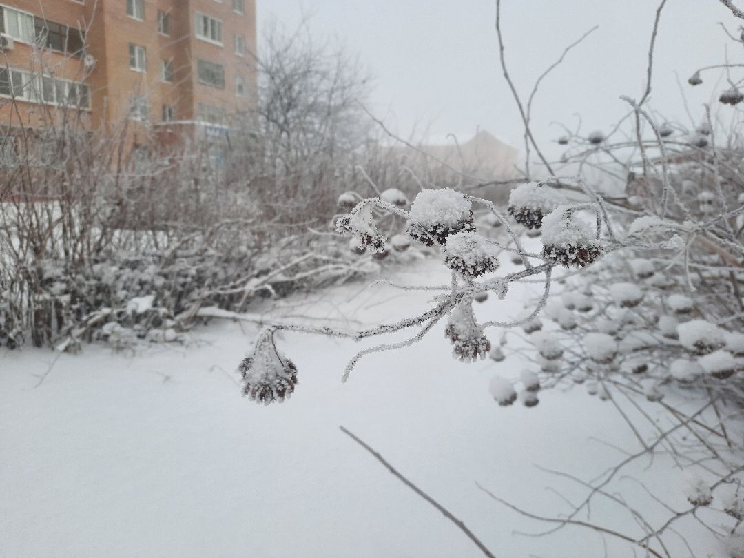 ЖКХ, взвесь, уборка снега, Шатура, форс-мажор