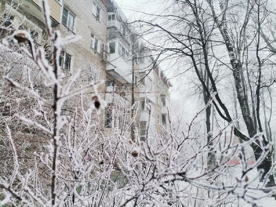 Сергиев Посад, Сергиево-Посадский городской округ, Погода, Туман, Морозы