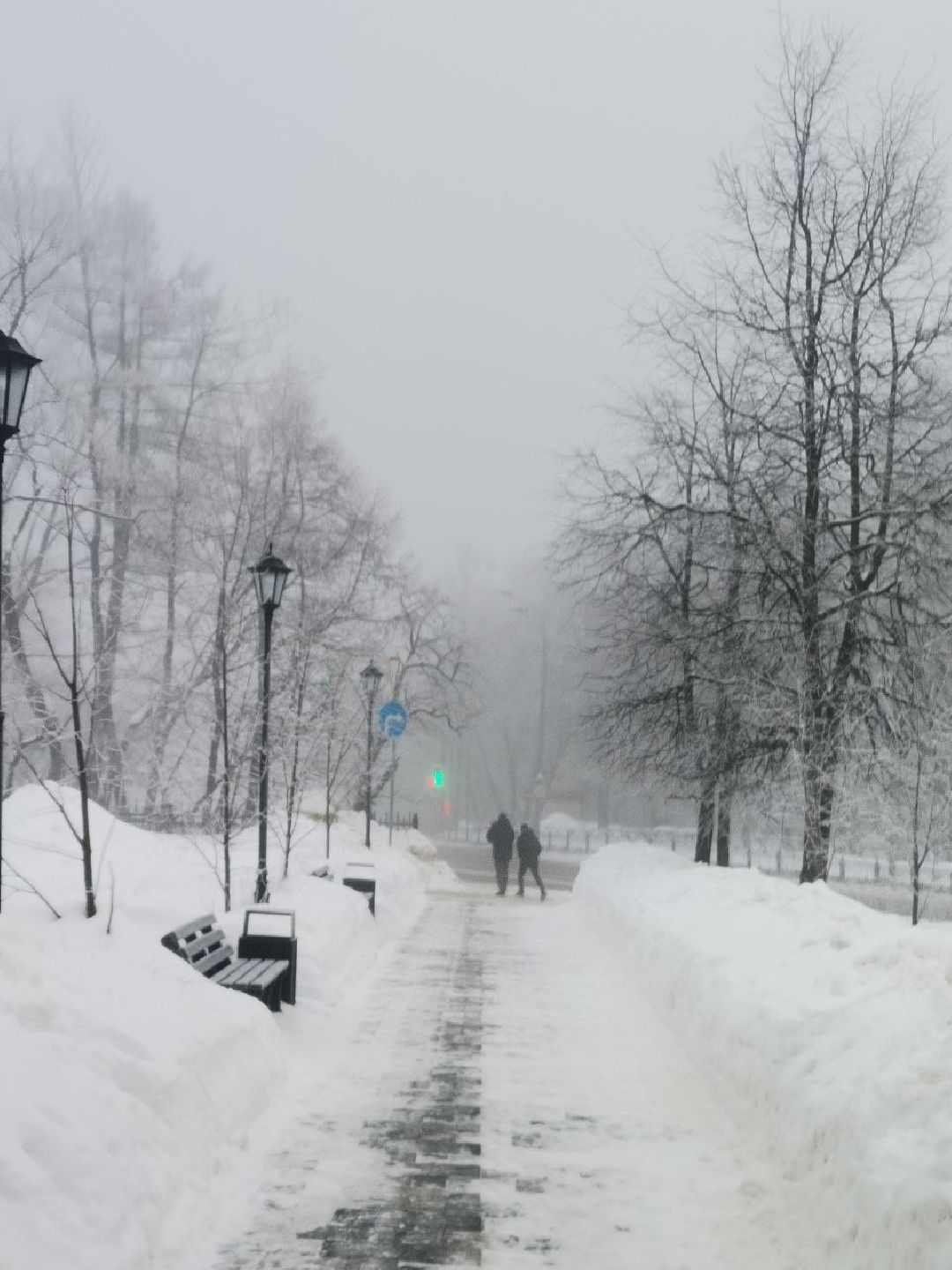 Сергиев Посад, Сергиево-Посадский городской округ, Погода, Туман, Морозы