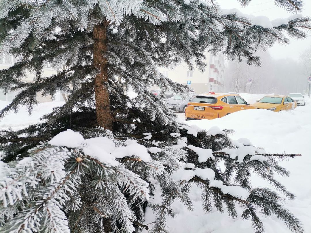 Сергиев Посад, Сергиево-Посадский городской округ, Погода, Туман, Морозы