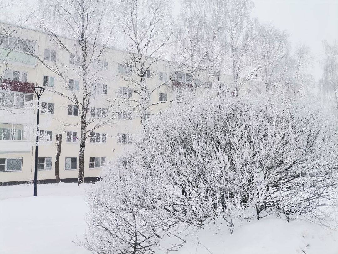 Сергиев Посад, Сергиево-Посадский городской округ, Погода, Туман, Морозы