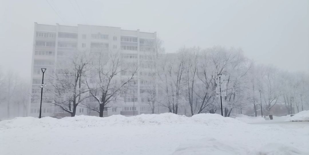 Сергиев Посад, Сергиево-Посадский городской округ, Погода, Туман, Морозы