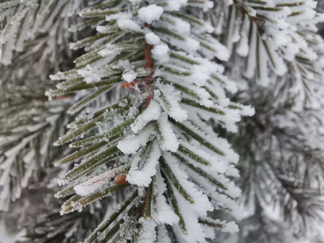 Сергиев Посад, Сергиево-Посадский городской округ, Погода, Туман, Морозы