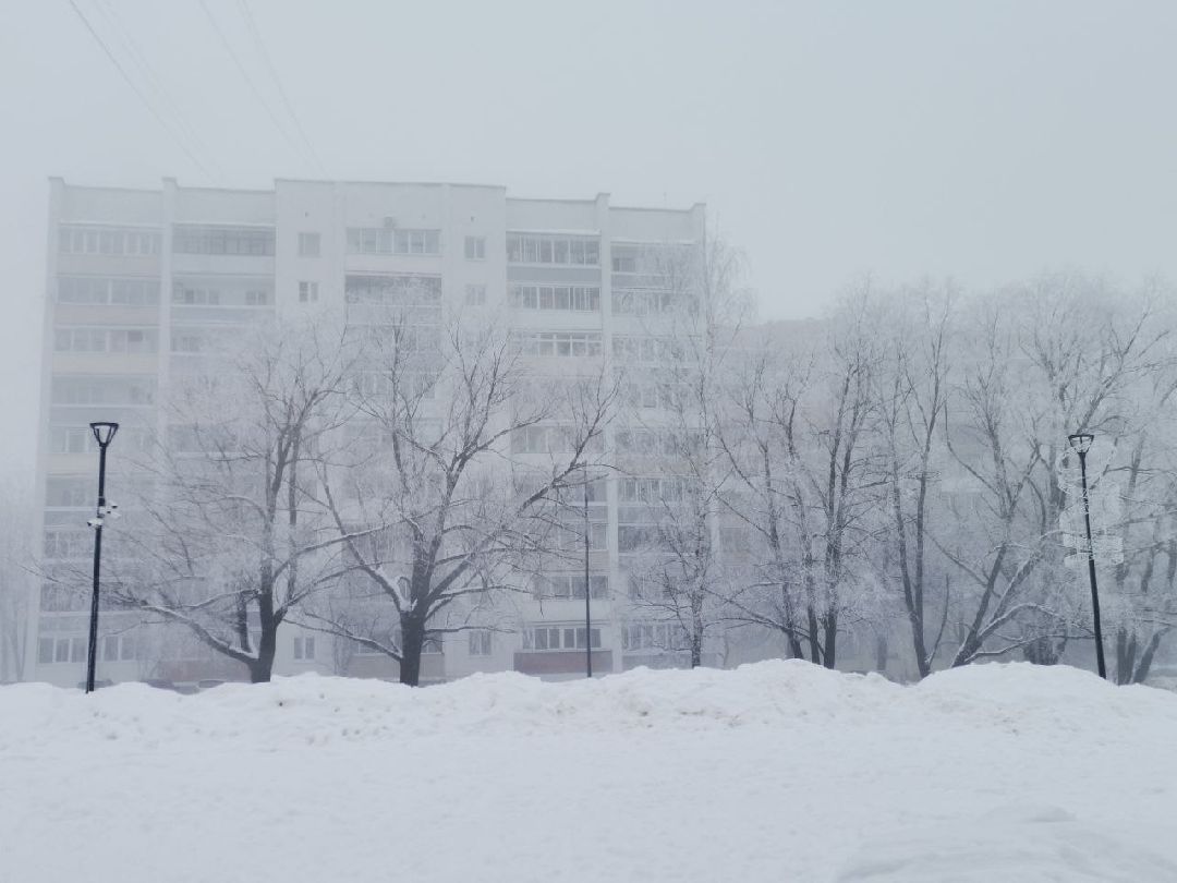 Сергиев Посад, Сергиево-Посадский городской округ, Погода, Туман, Морозы
