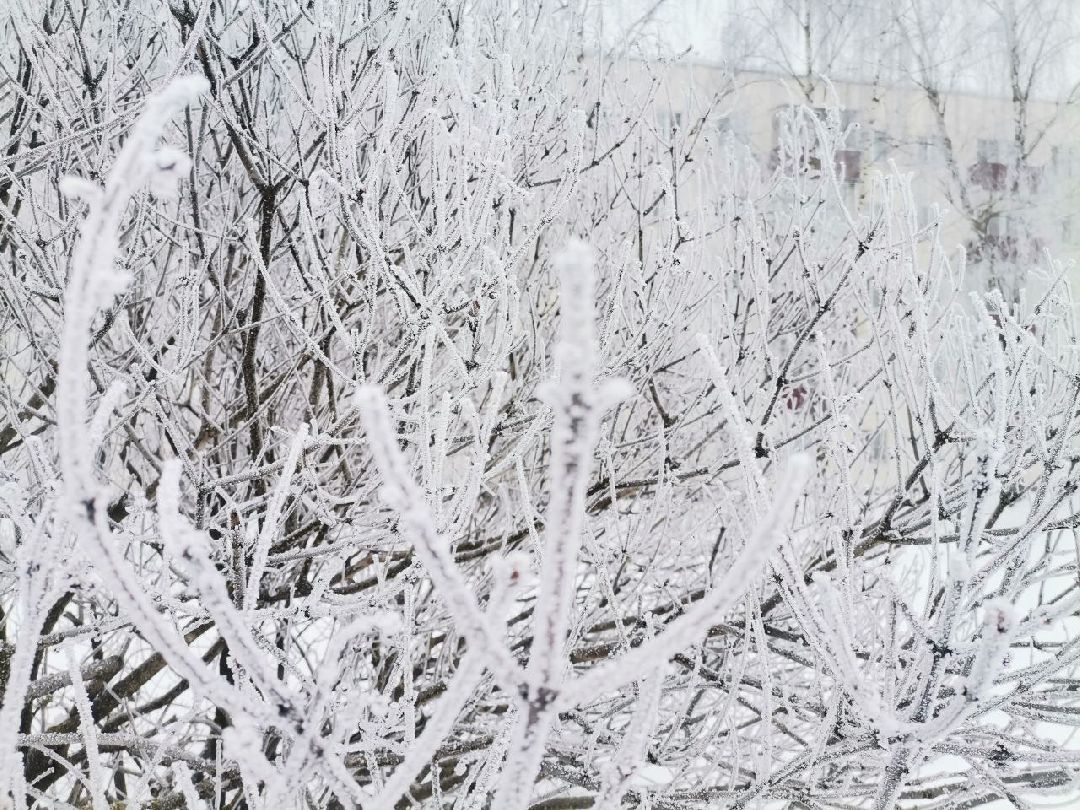 Сергиев Посад, Сергиево-Посадский городской округ, Погода, Туман, Морозы