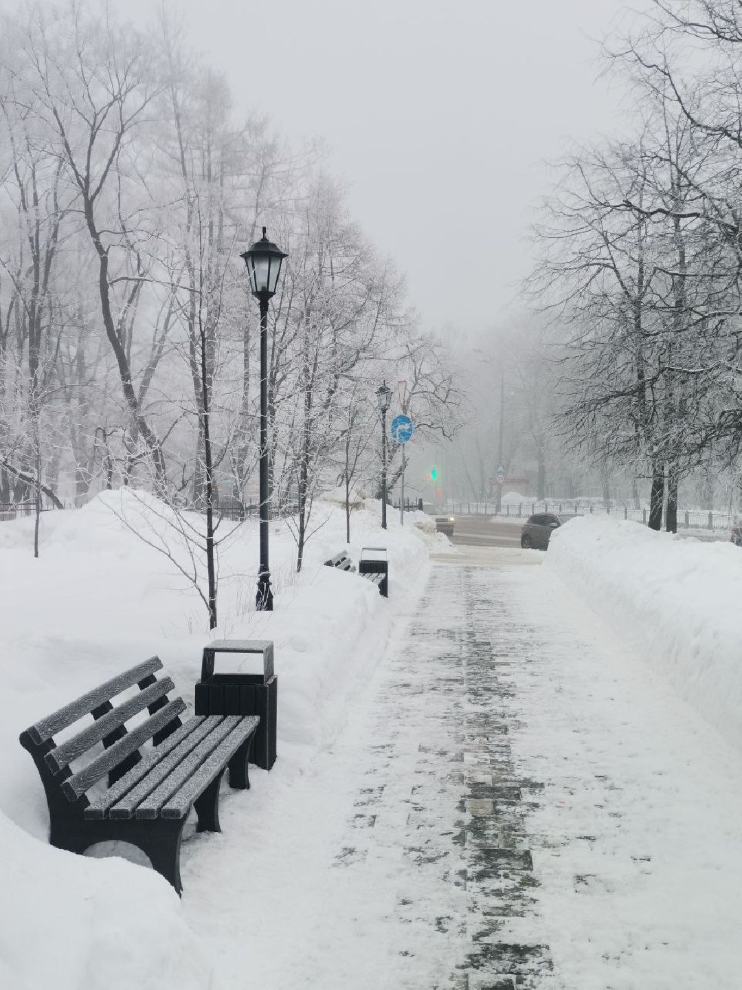 Сергиев Посад, Сергиево-Посадский городской округ, Погода, Туман, Морозы