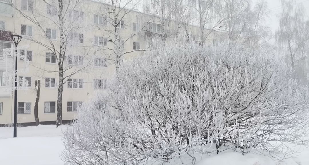 Сергиев Посад, Сергиево-Посадский городской округ, Погода, Туман, Морозы