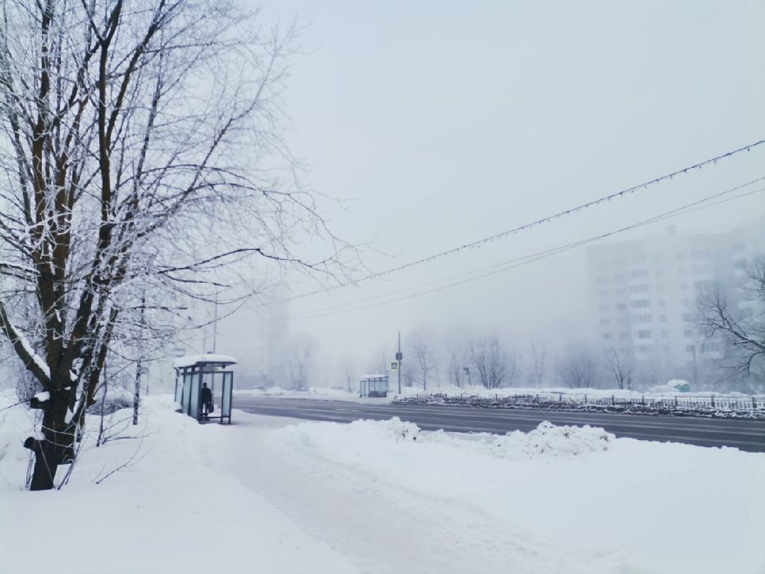 Сергиев Посад, Сергиево-Посадский городской округ, Погода, Туман, Морозы