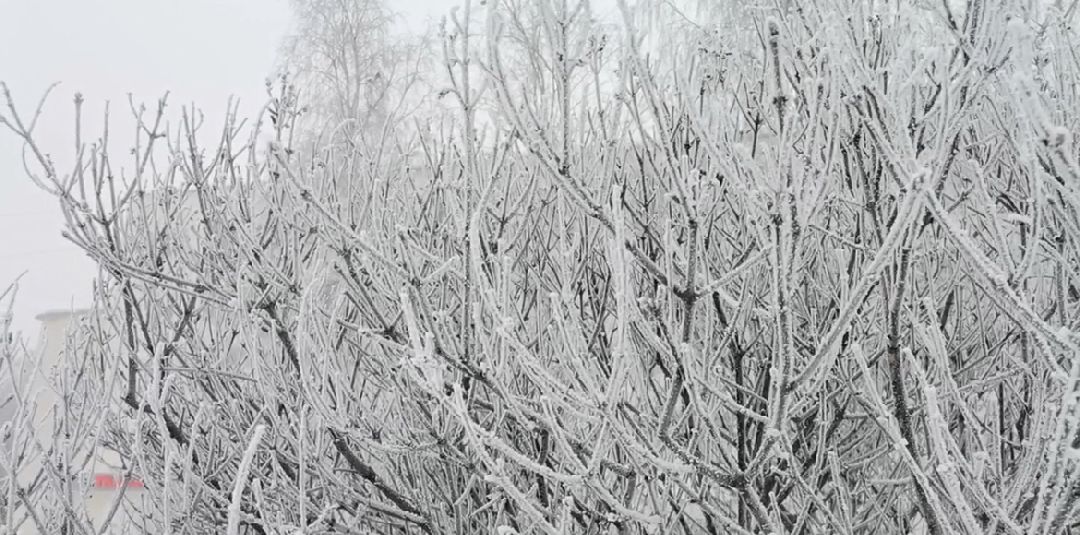 Сергиев Посад, Сергиево-Посадский городской округ, Погода, Туман, Морозы