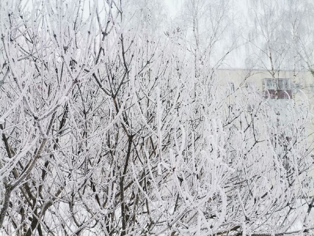 Сергиев Посад, Сергиево-Посадский городской округ, Погода, Туман, Морозы