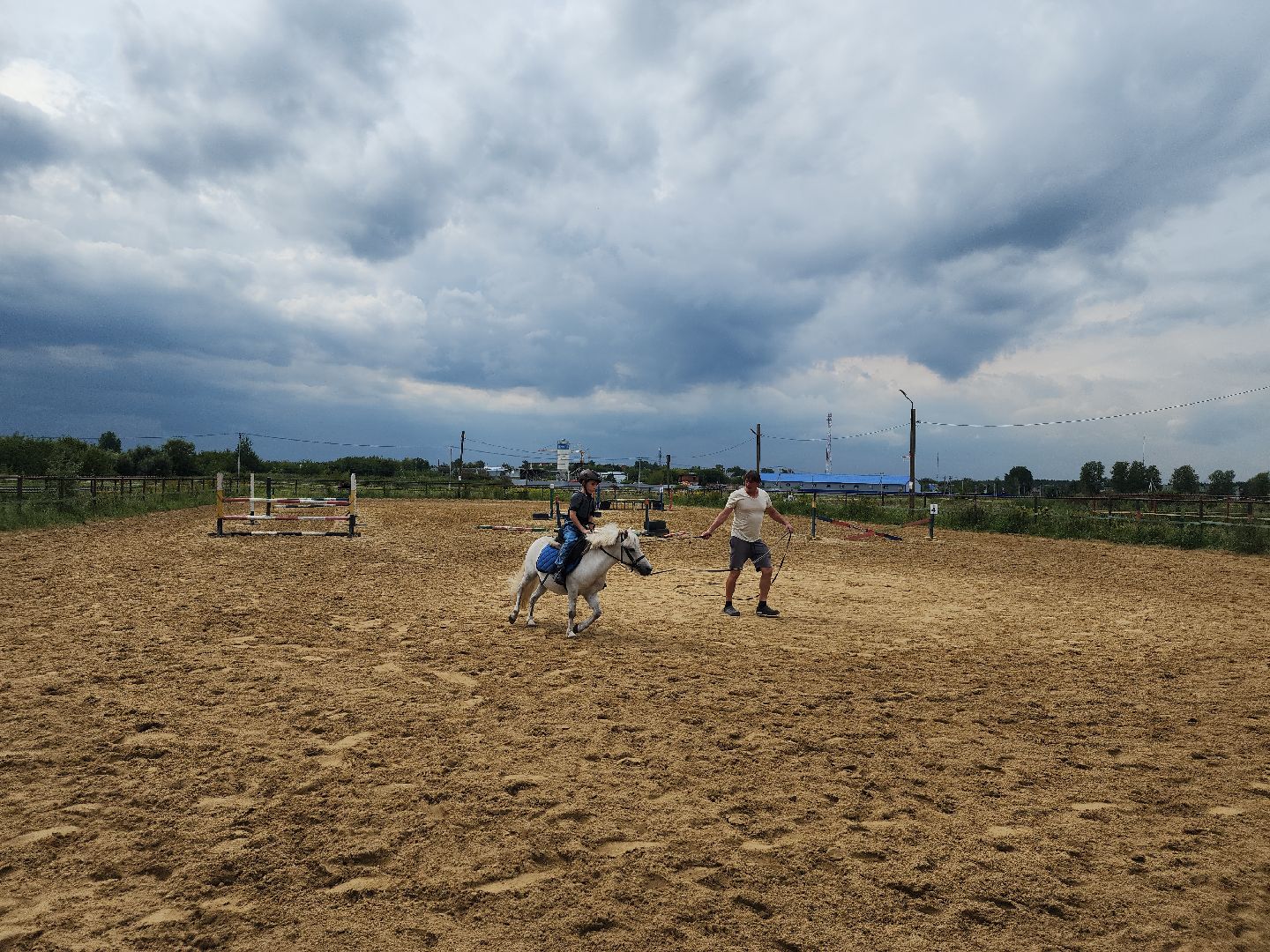 Конный клуб, лошади, спорт, Рыбхоз, Богородский городской округ