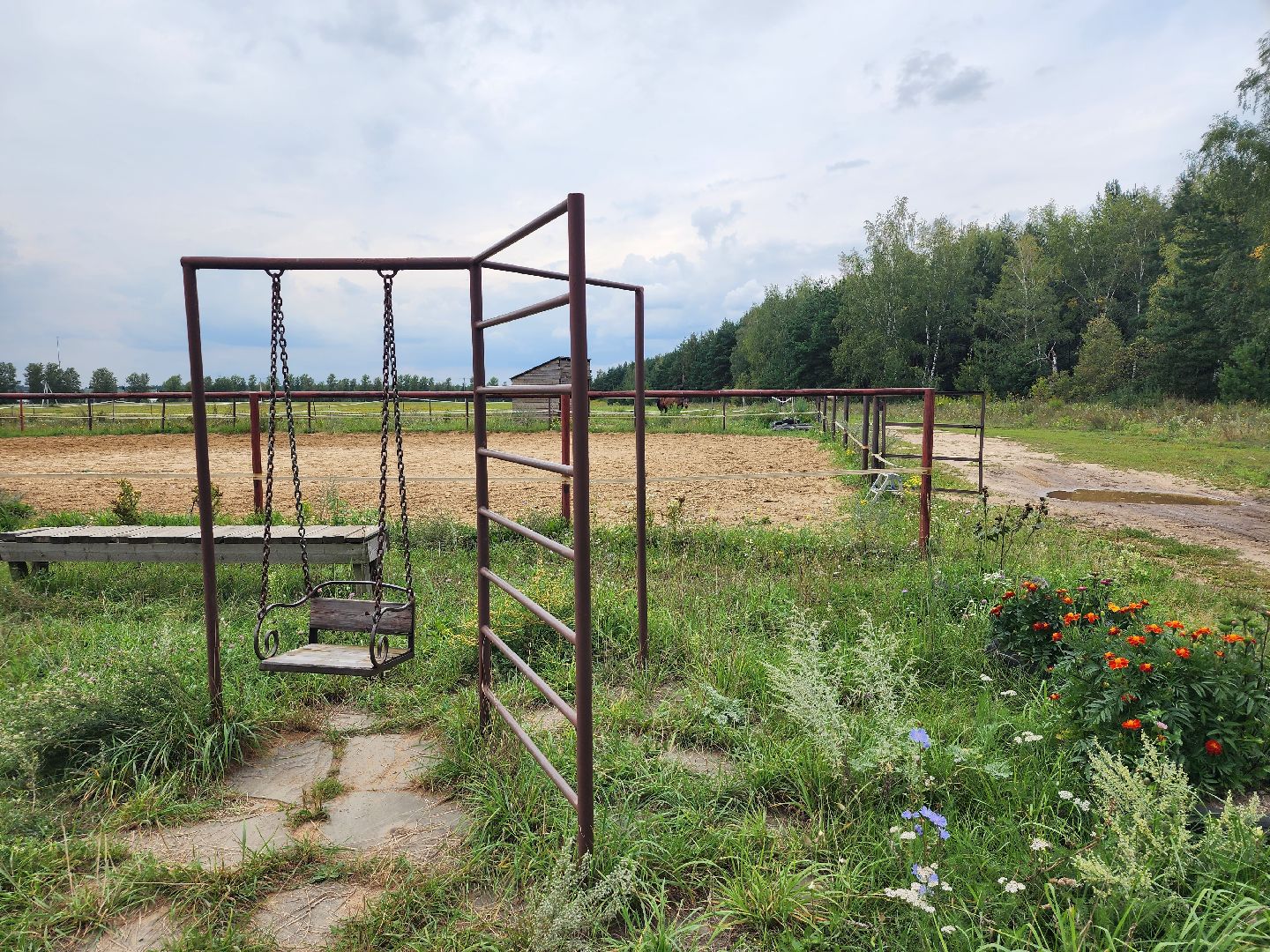 Конный клуб, лошади, спорт, Рыбхоз, Богородский городской округ