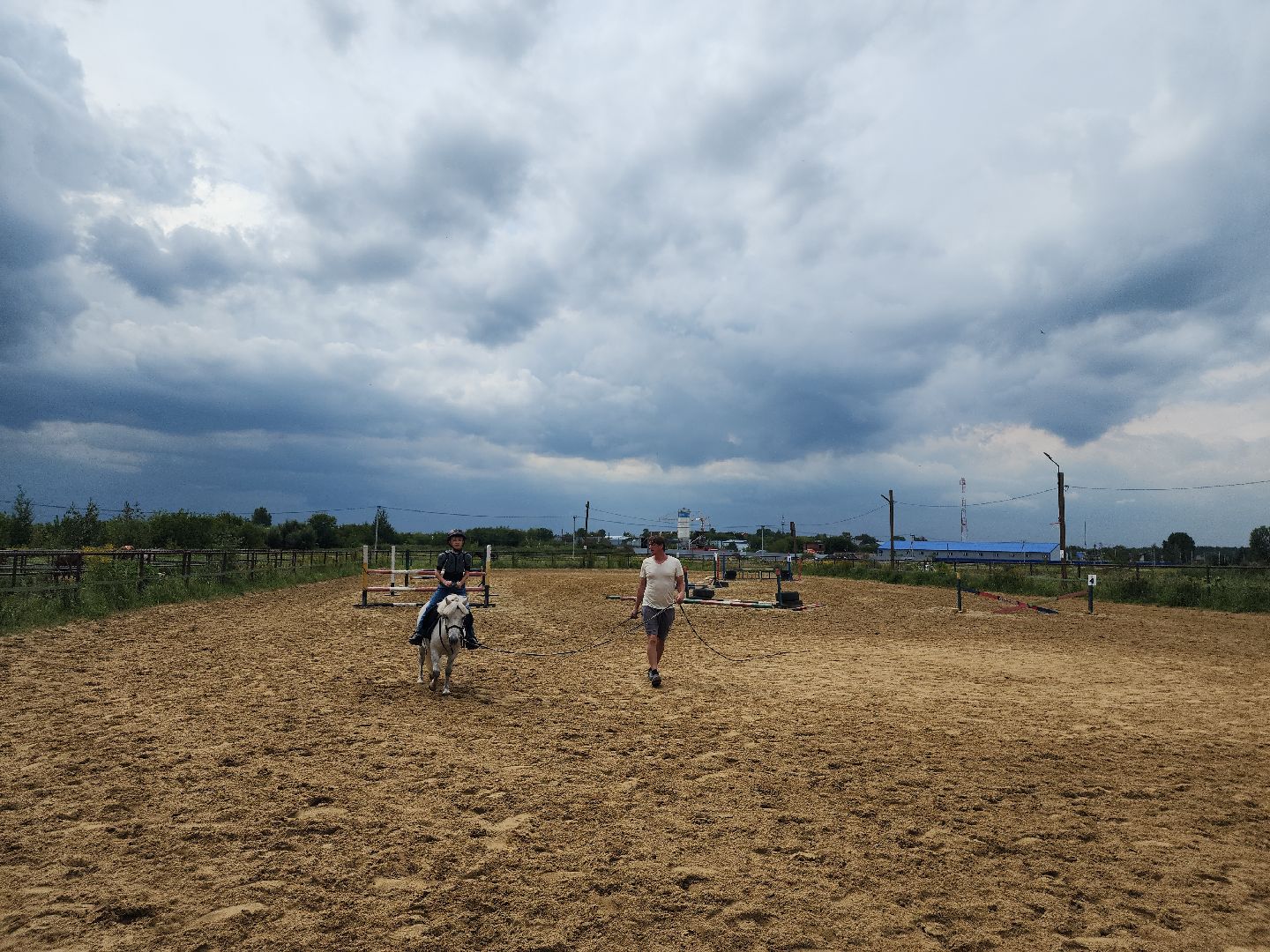 Конный клуб, лошади, спорт, Рыбхоз, Богородский городской округ