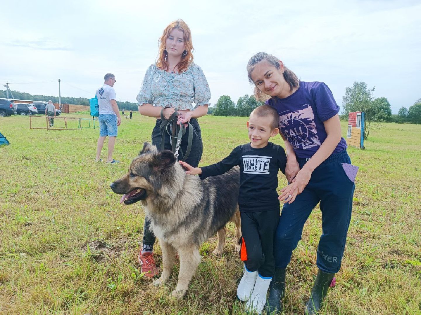 Можайск, Можайский городской округ, Подмосковье, день бездомных животных, собаки, приют, помощь, волонтёры, праздник