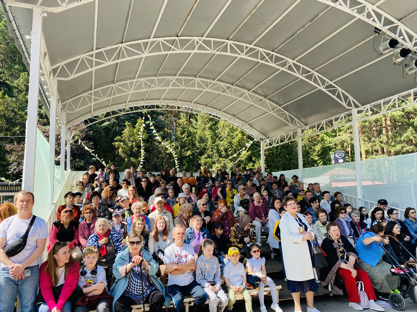 Домодедово, флаг россии, патриотизм, Российский триколор, выставка флагов, парк Елочки