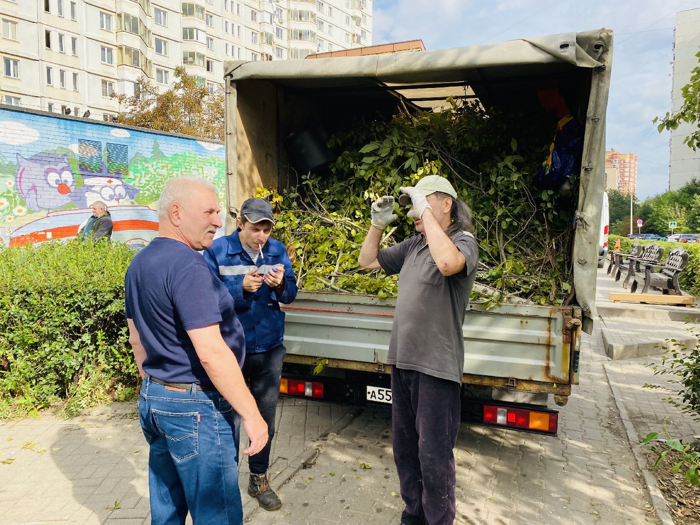 Балашиха, деревья, ликвидация последствий непогоды,