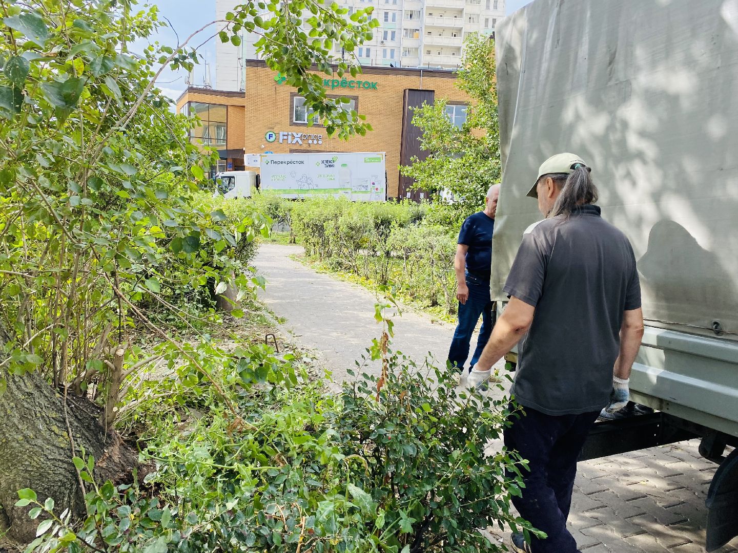 Балашиха, деревья, ликвидация последствий непогоды,
