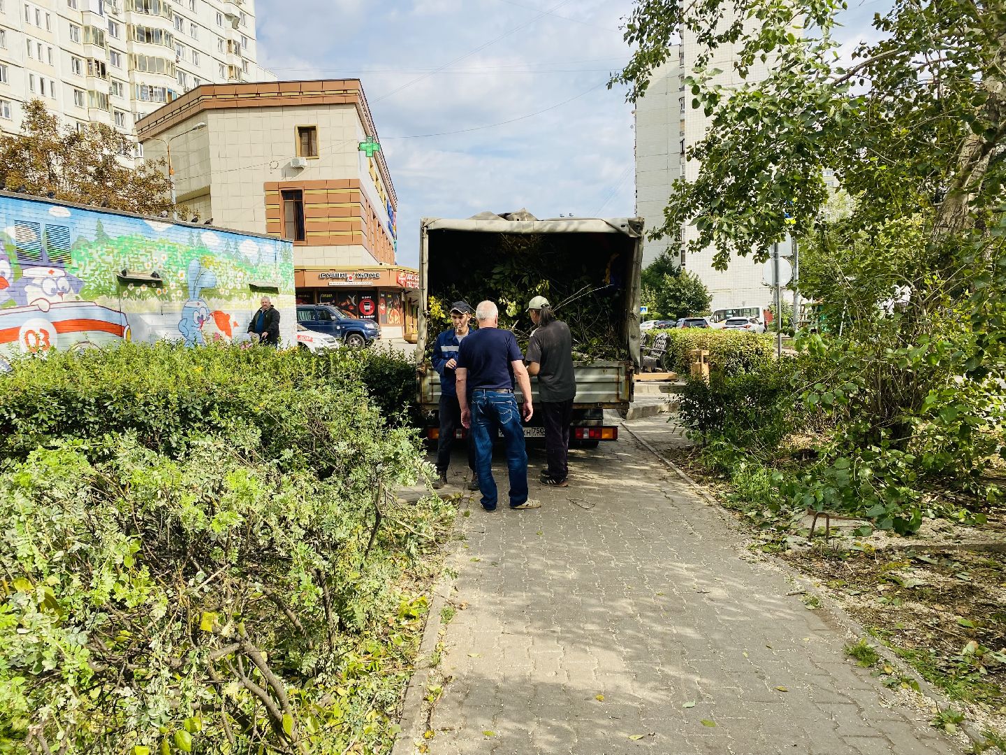 Балашиха, деревья, ликвидация последствий непогоды,